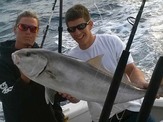 amberjack