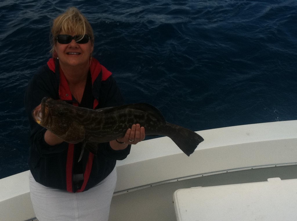 black grouper