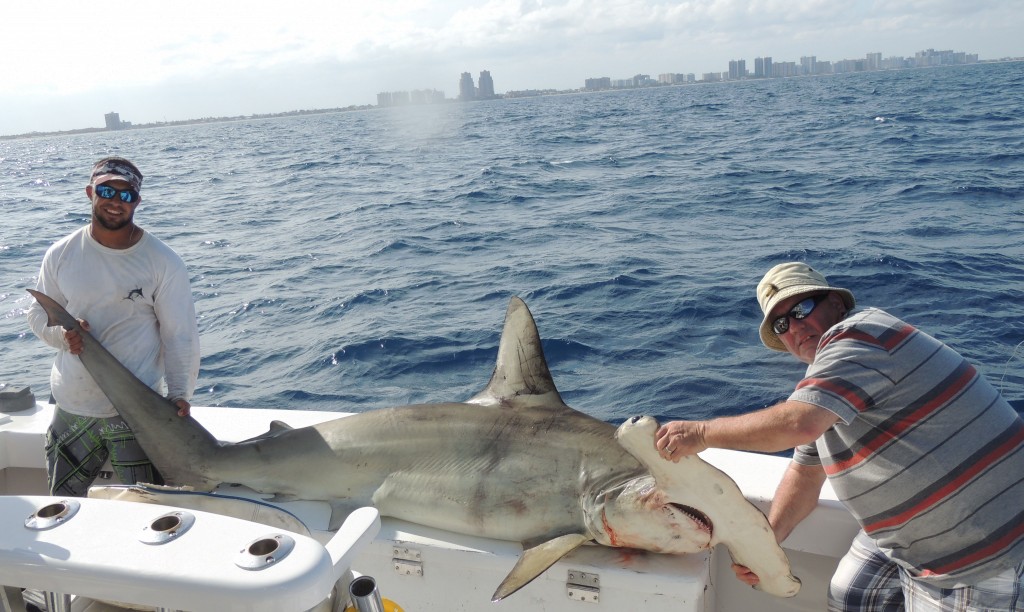 Shark fishing charter