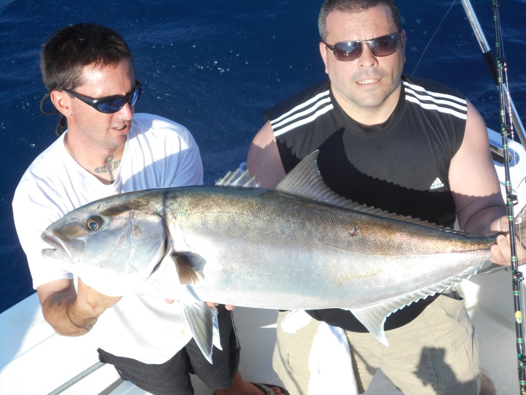 amberjack