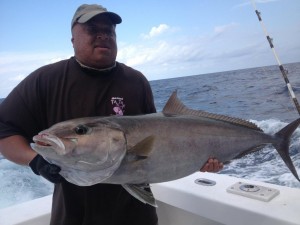 Nice amberjack