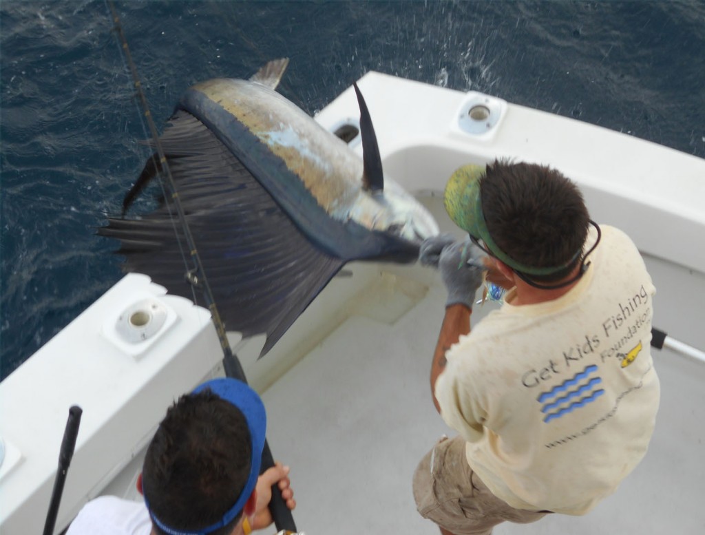 sailfish in fort lauderdale