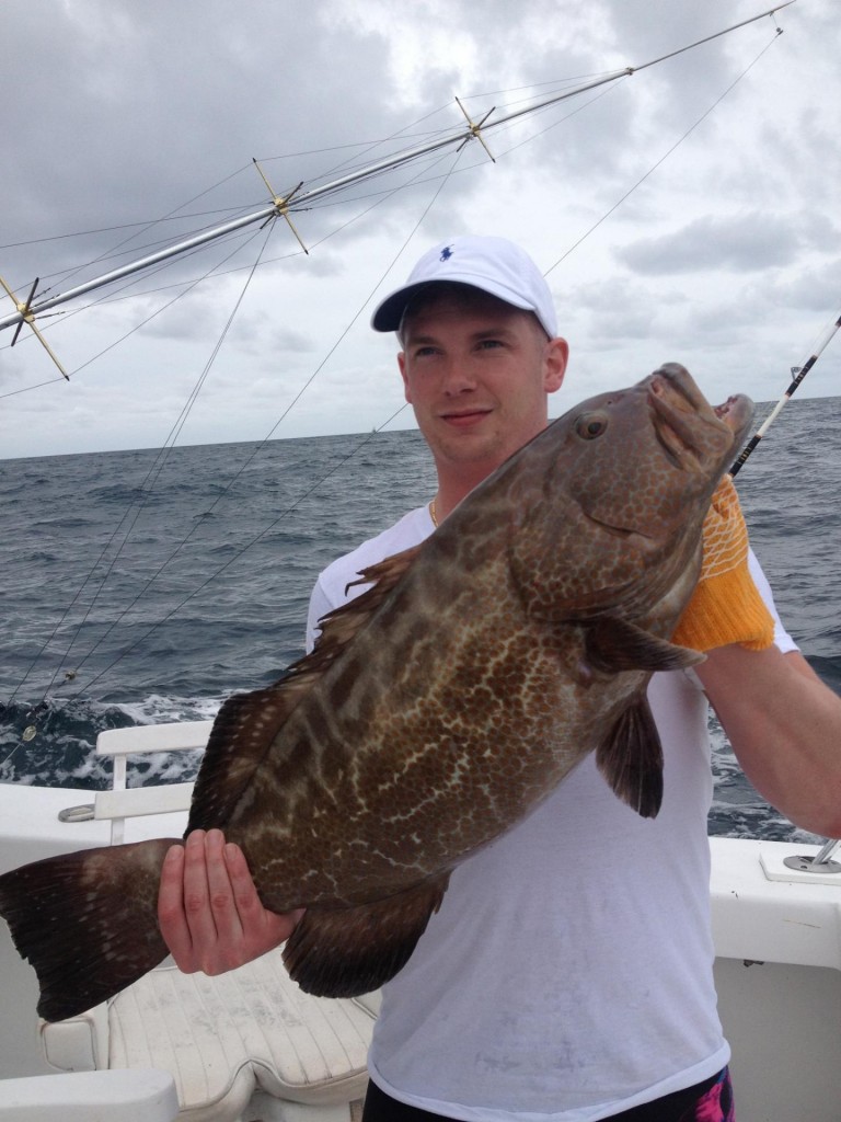 Black grouper