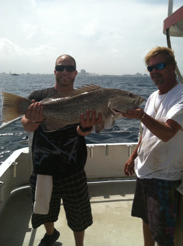 gag grouper