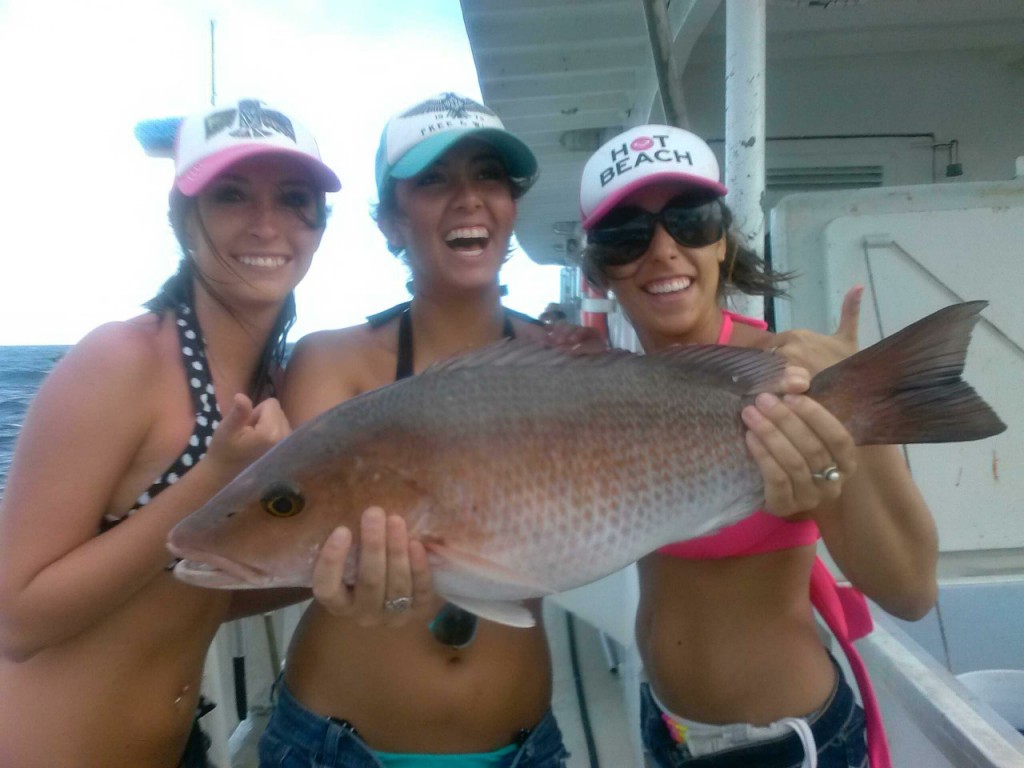 mangrove snapper