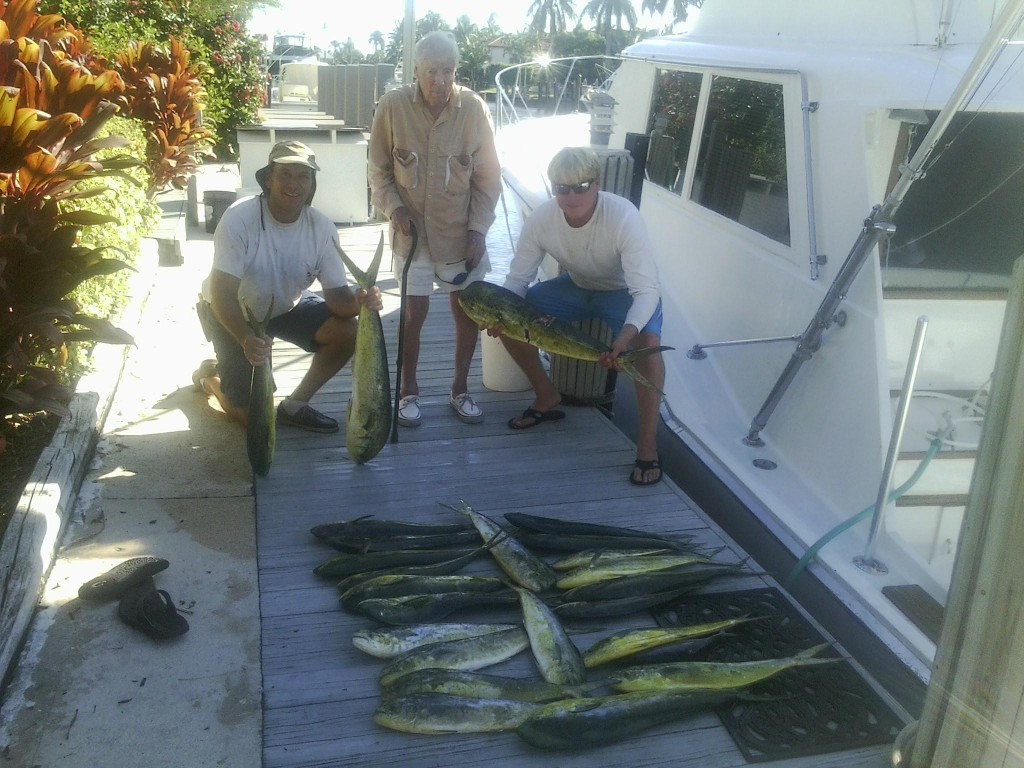 Great dolphin catch today