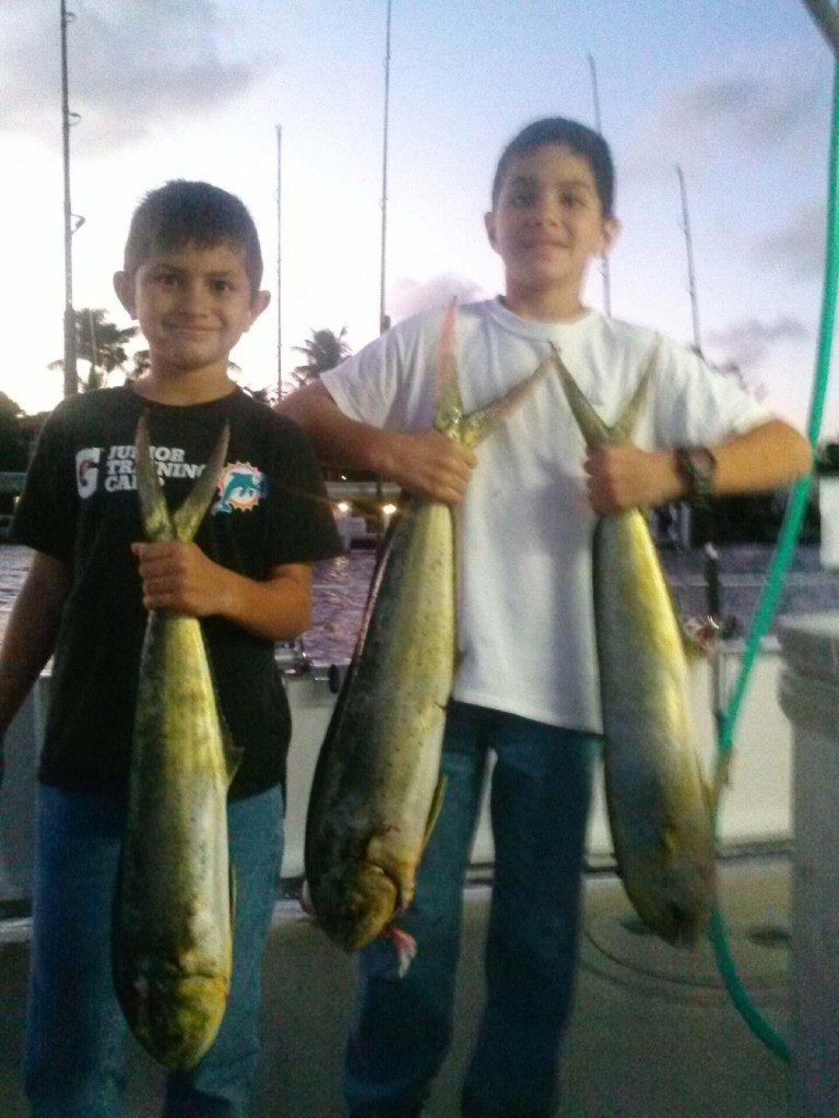 Nice dolphin catch by kids