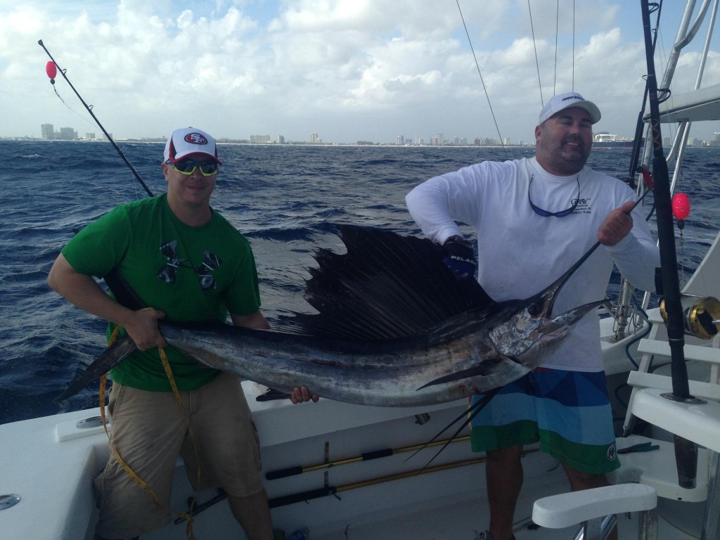 Nice sailfish just caught