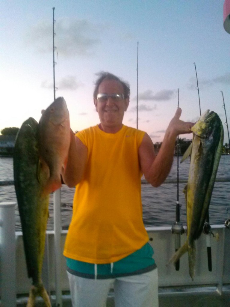 Dolphins and snappers