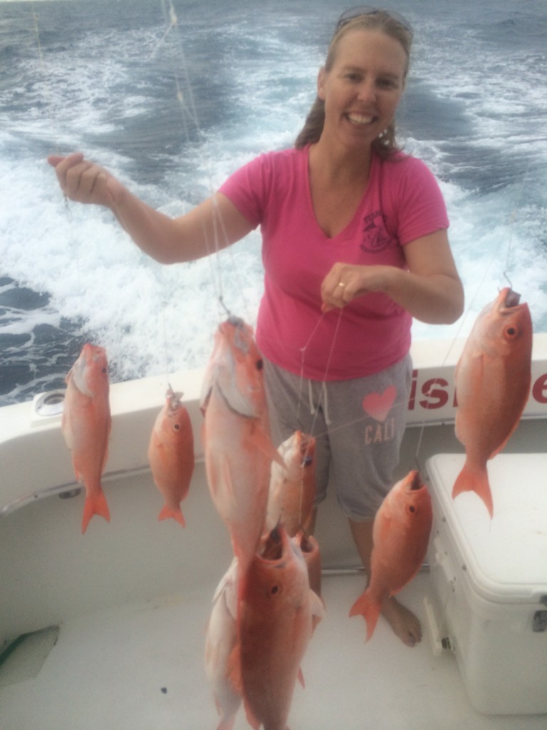 lots of snappers being caught deep dropping