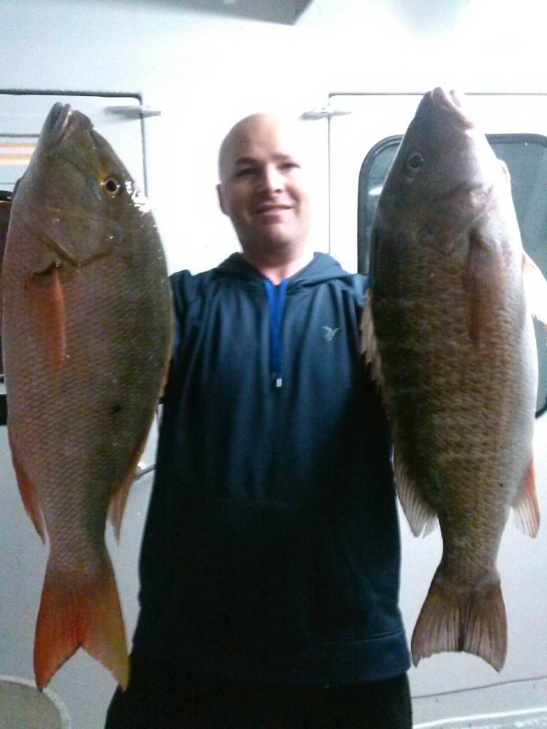 Nice mutton and mangrove snappers