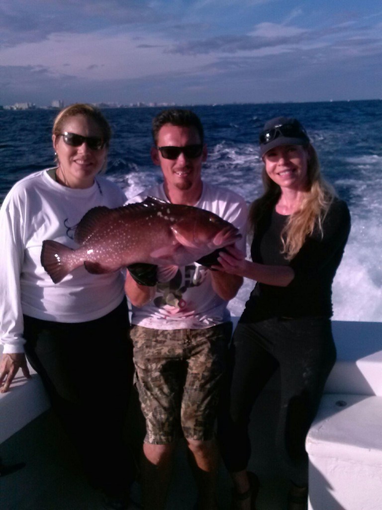 Nice red grouper just caught fishing over a shipwreck