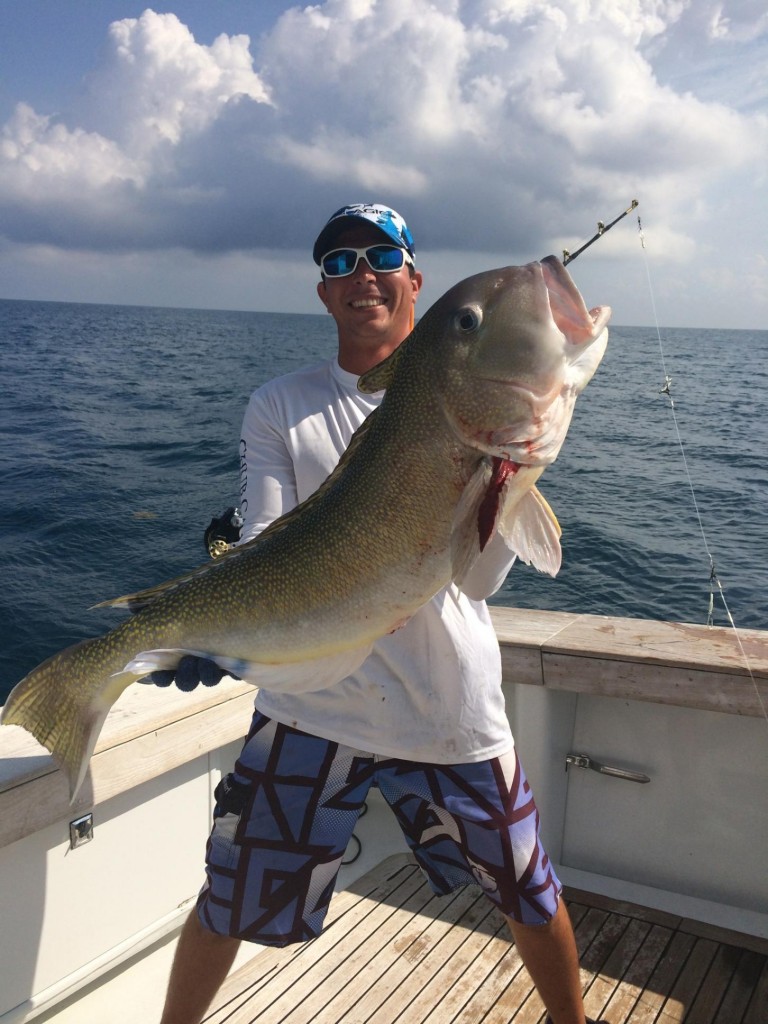 Big golden tilefish