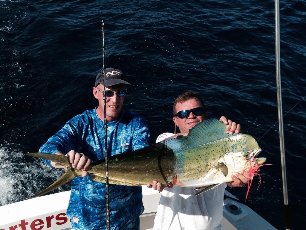 Mahi-mahi dolphin caught offshore Ft Lauderdale