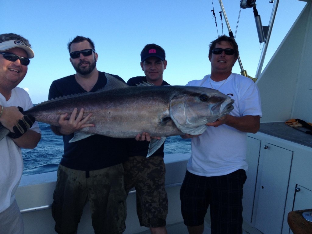 Monster amberjack