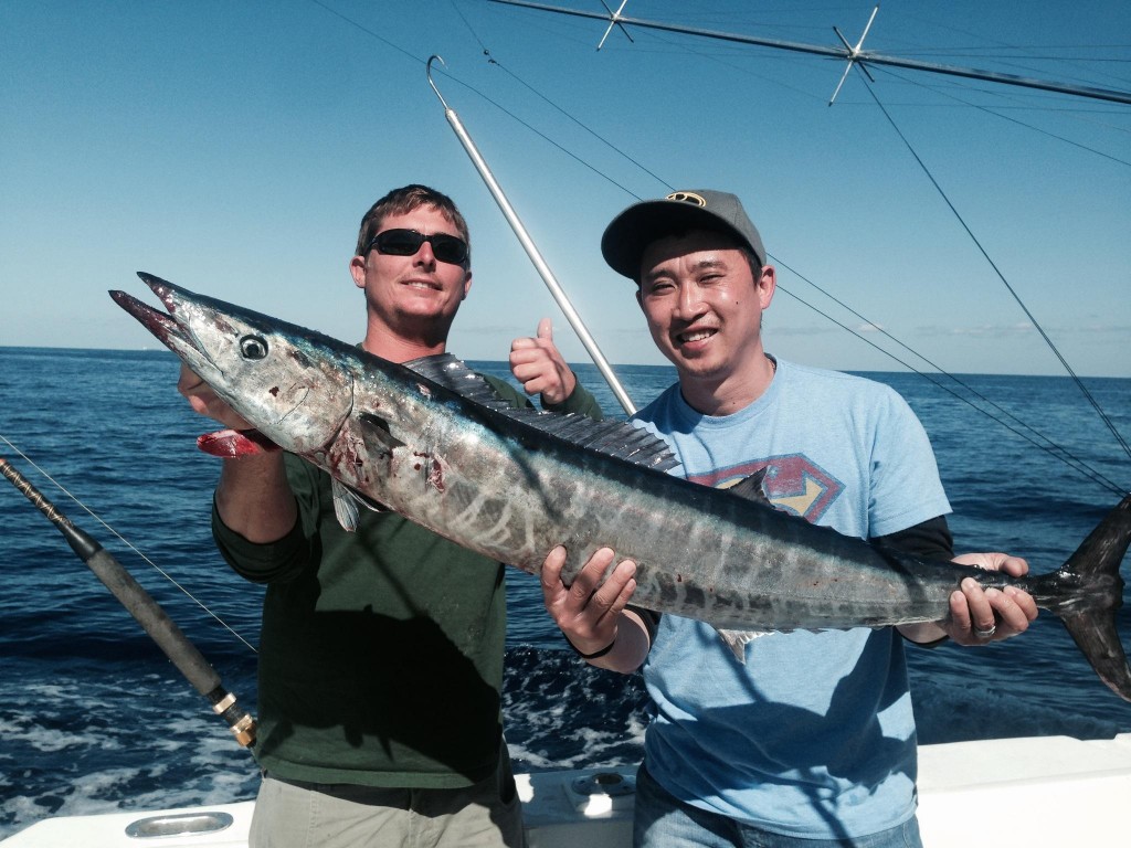 Nice wahoo just caught