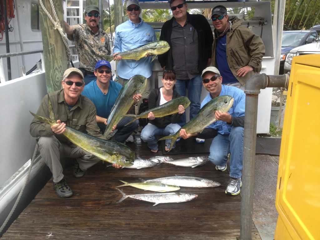 dolphin and kingfish at the dock