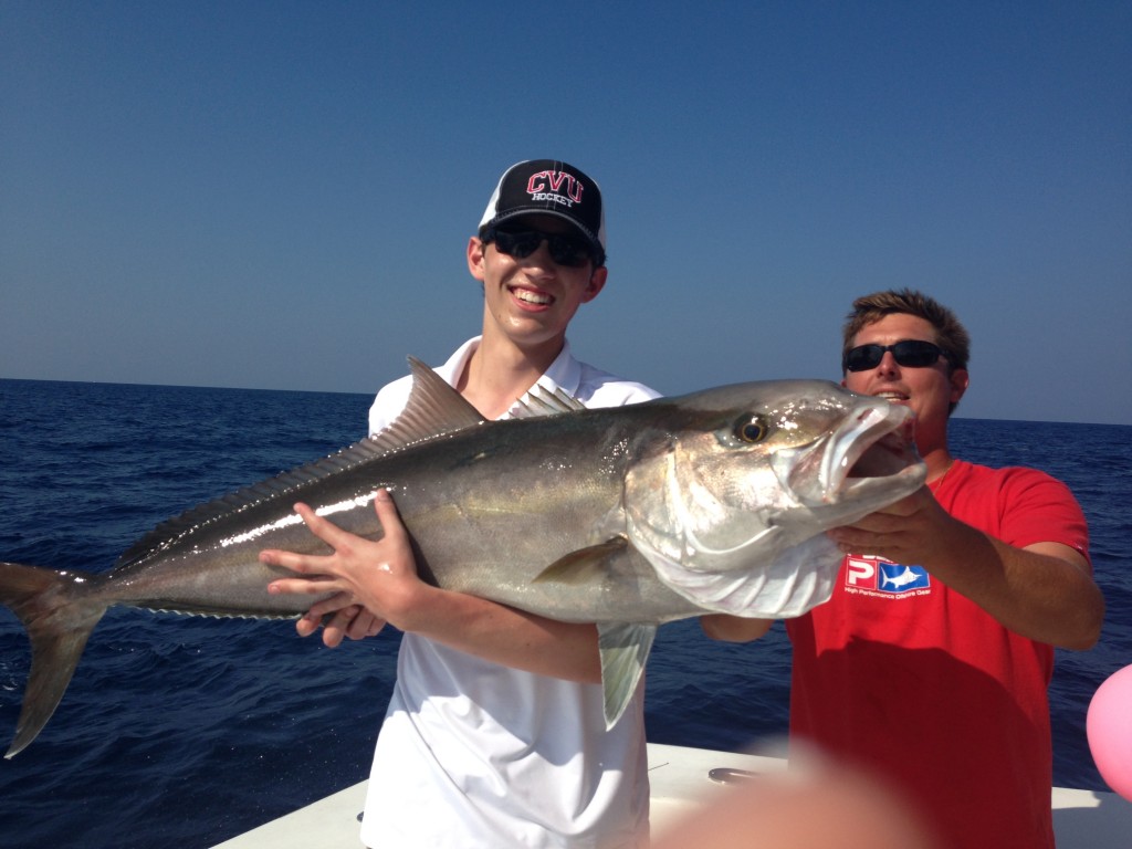 Big amberjack