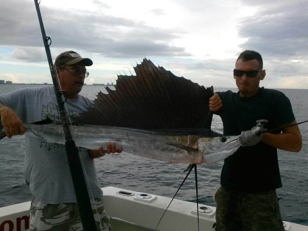 Sailfish