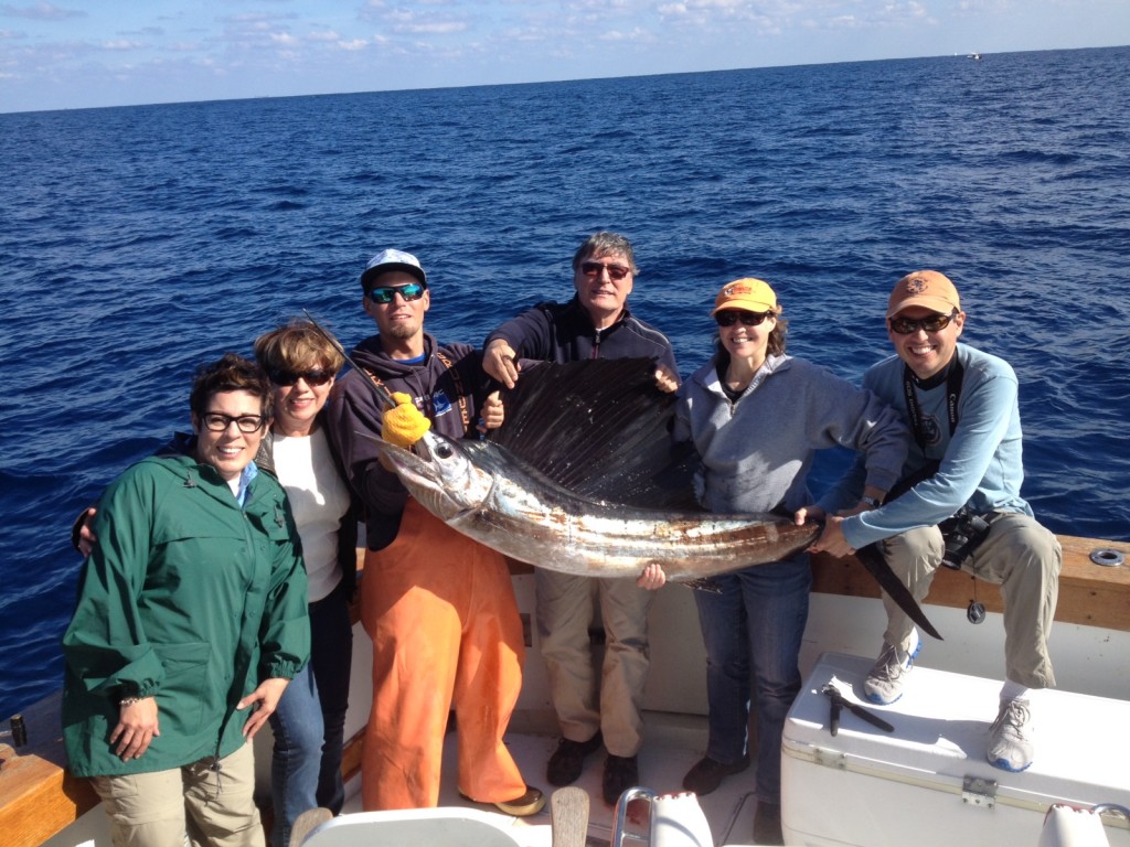 nice sailfish caught and released on our sportfishing charter