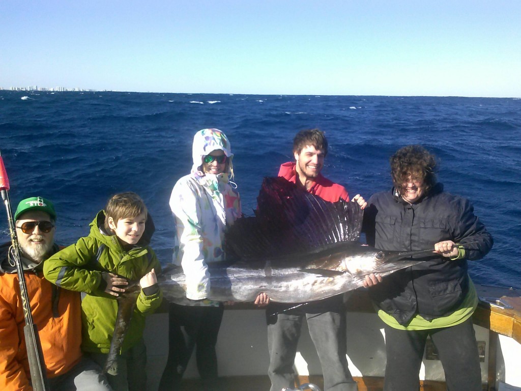 sailfish