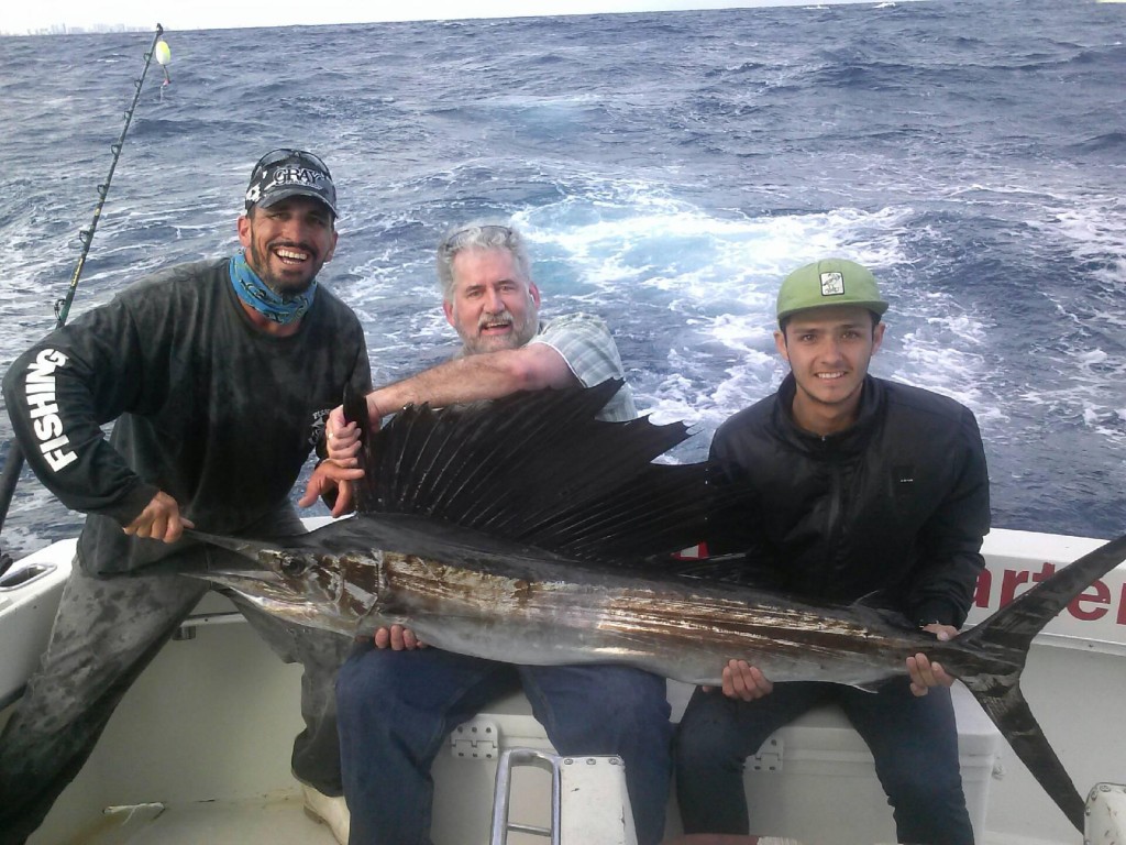 Nice sailfish just caught