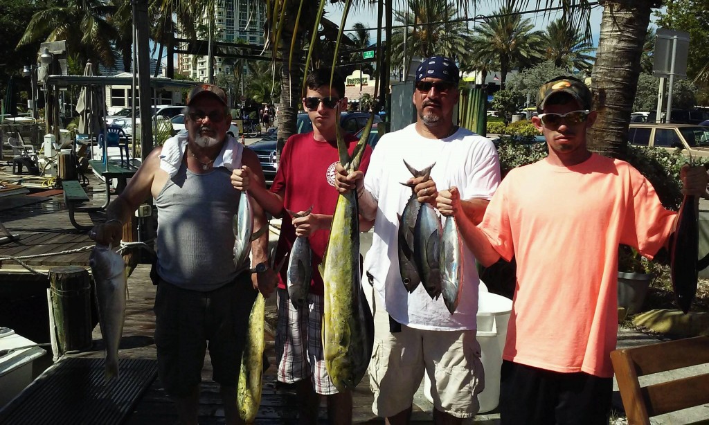 Nice catch of tunas and dolphins 