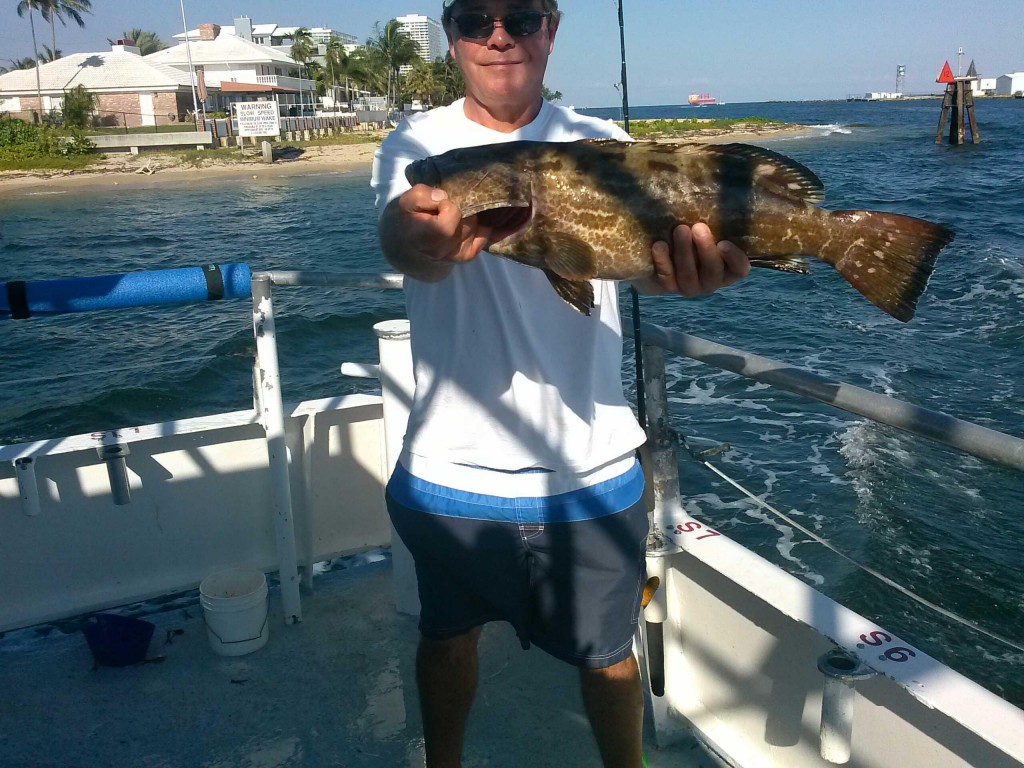 black grouper caught on drift boat