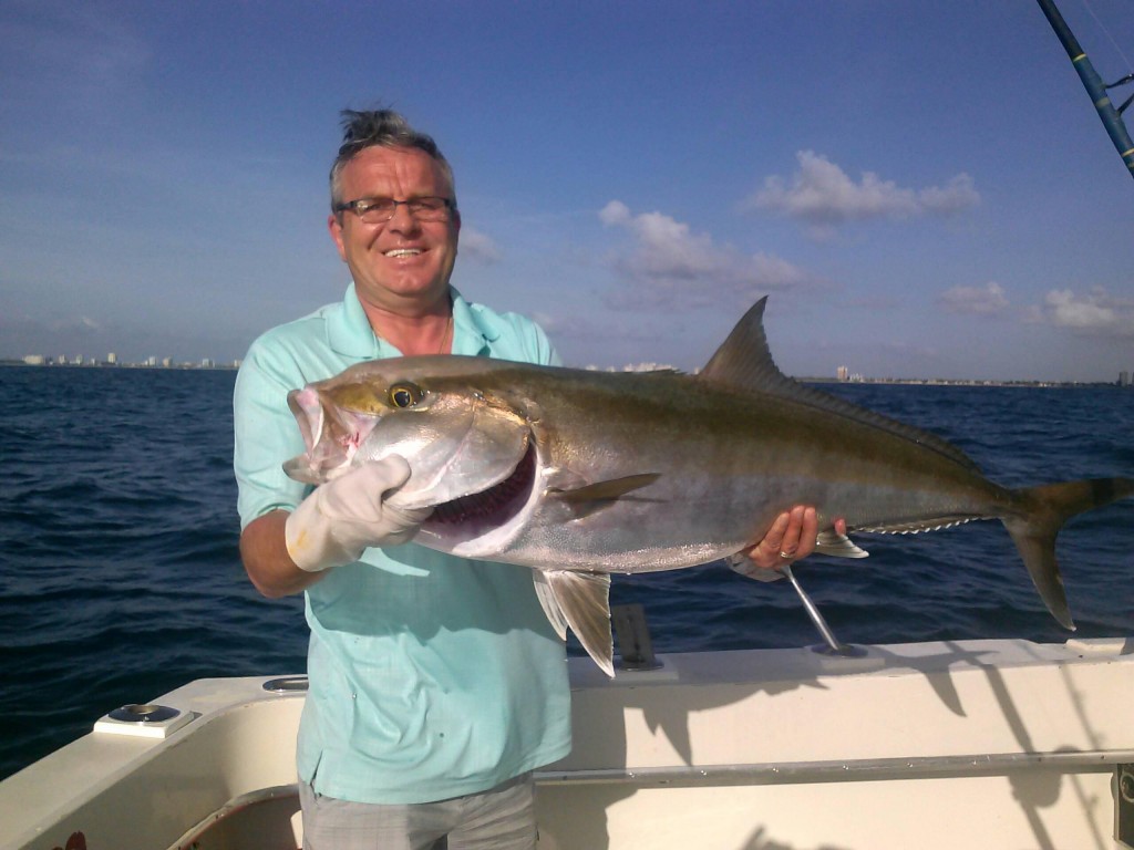 Nice amberjack pulled up from a shipwreck