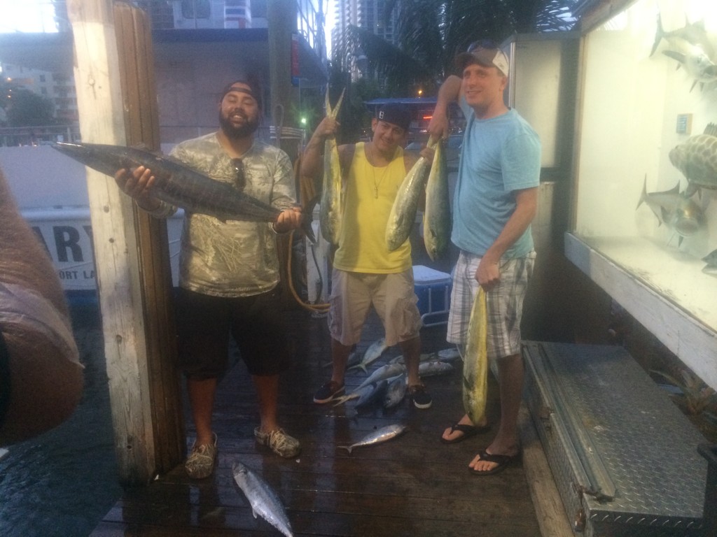Dolphin, tuna catch at the dock