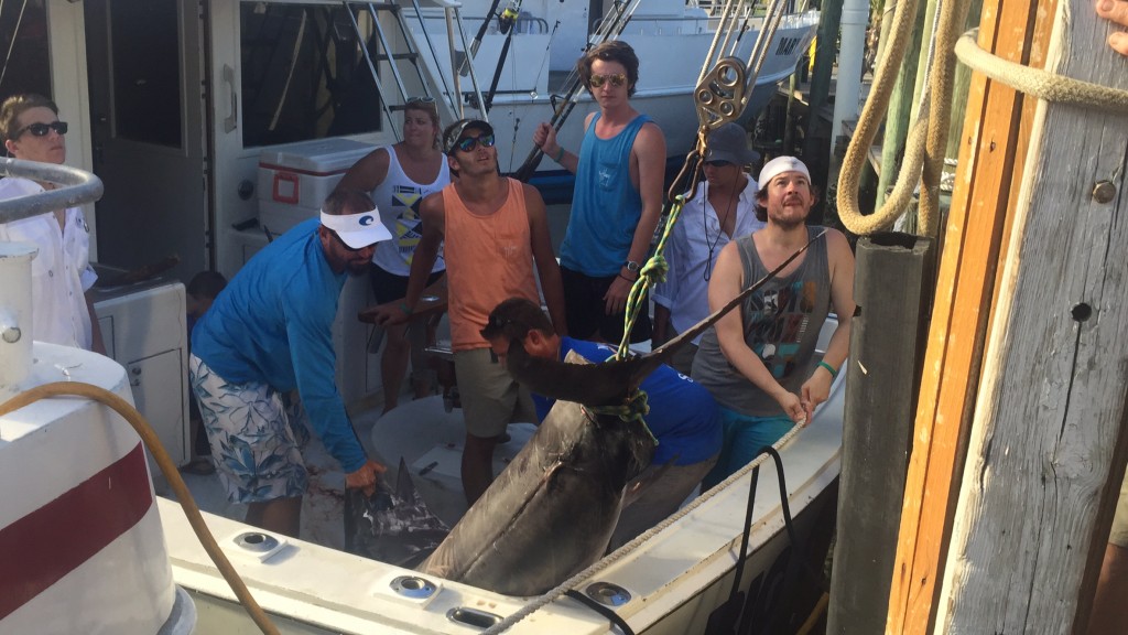 pulling the swordfish up onto the dock