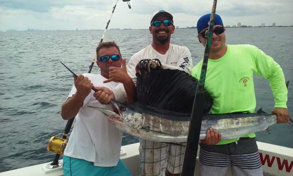Nice sailfish caught on the troll