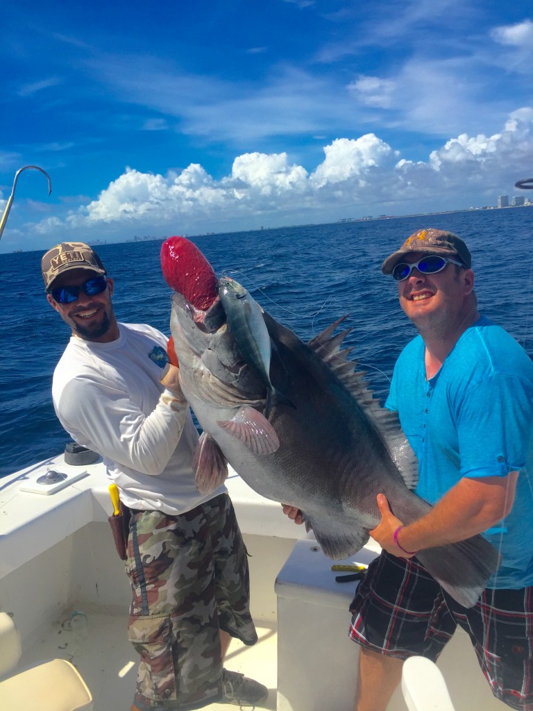 Big warsaw grouper