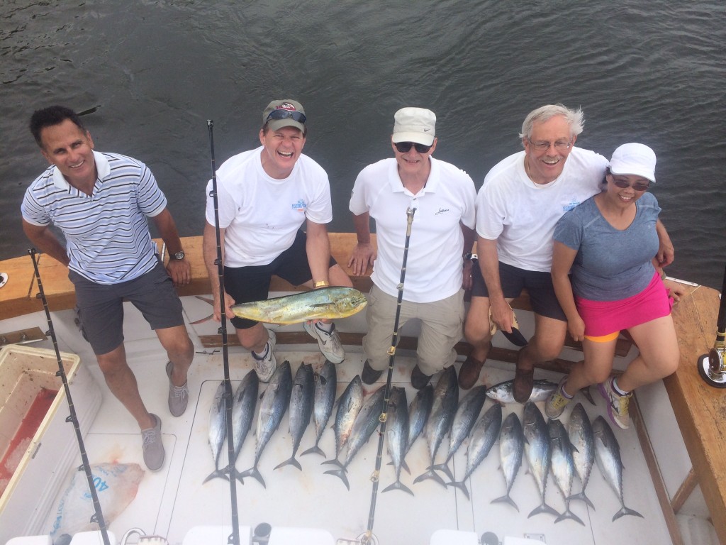 Lots of bonitos just caught on the reef