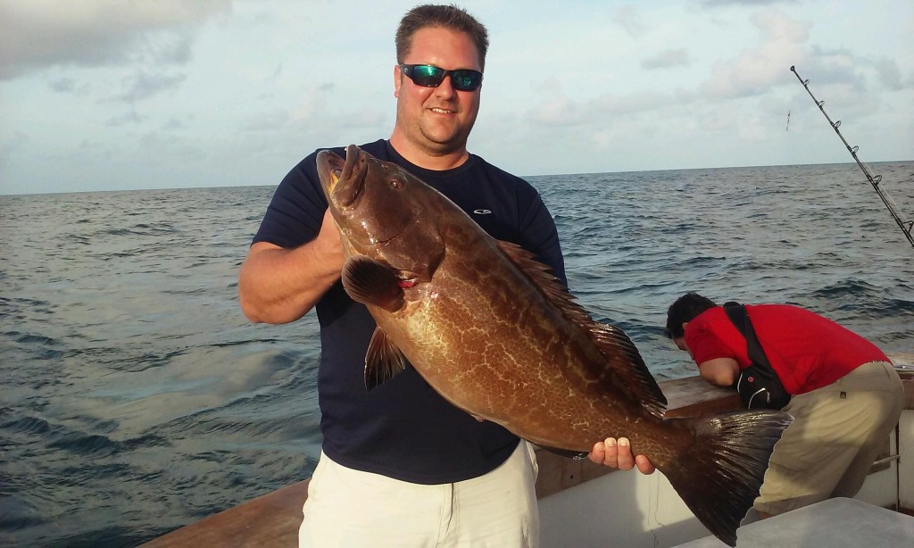 nice grouper just landed