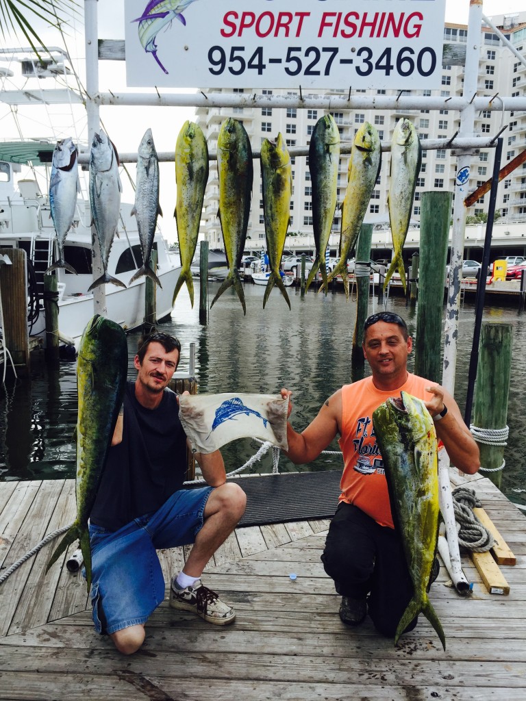 Lots of dolphin and a sailfish caught on our deep sea fishing trip.
