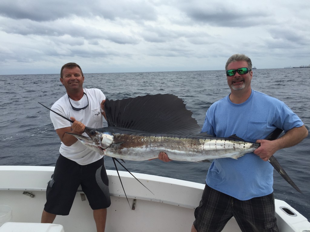 Nice sailfish just caught on a fishing charter.