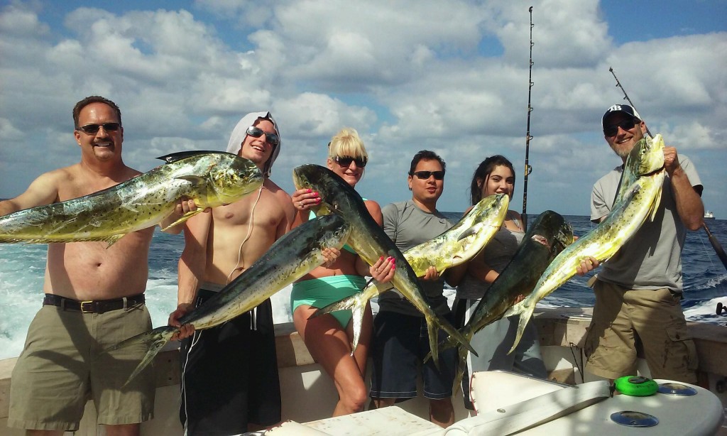 Nice bunch of dolphin being held by the lucky anglers on the boat.