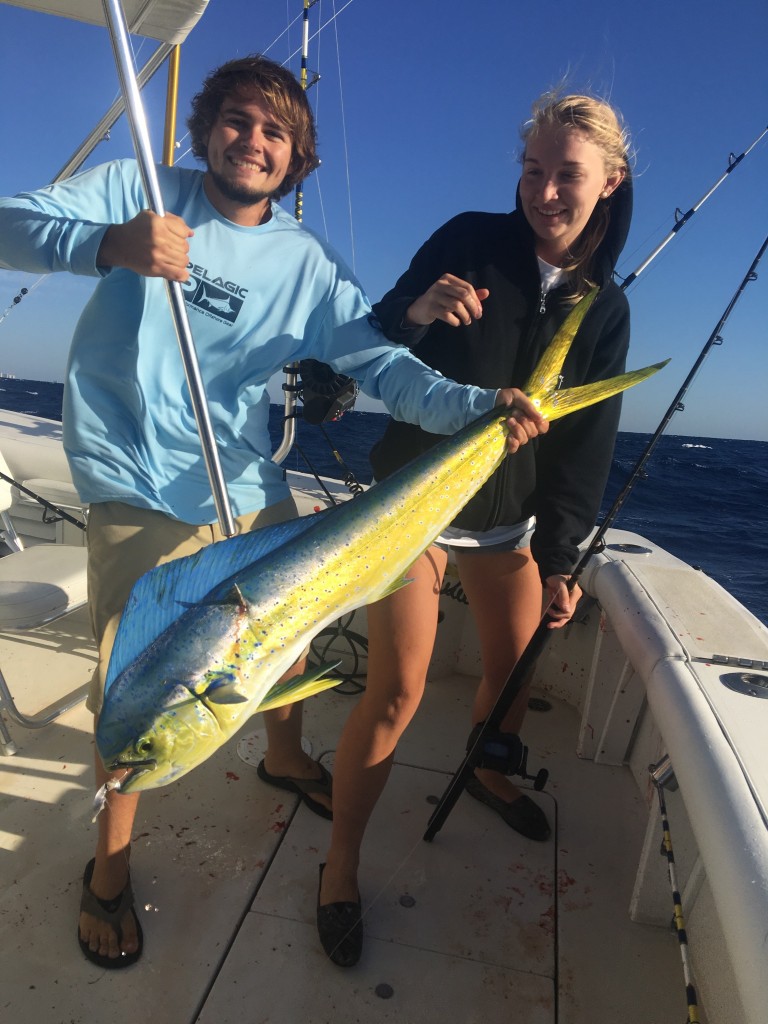 Nice mahi mahi just boated being held on the gaff