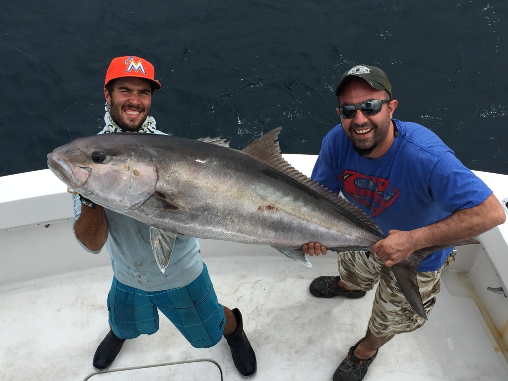 About a 50 pound amberjack being held just after being reeled in from bottom fishing