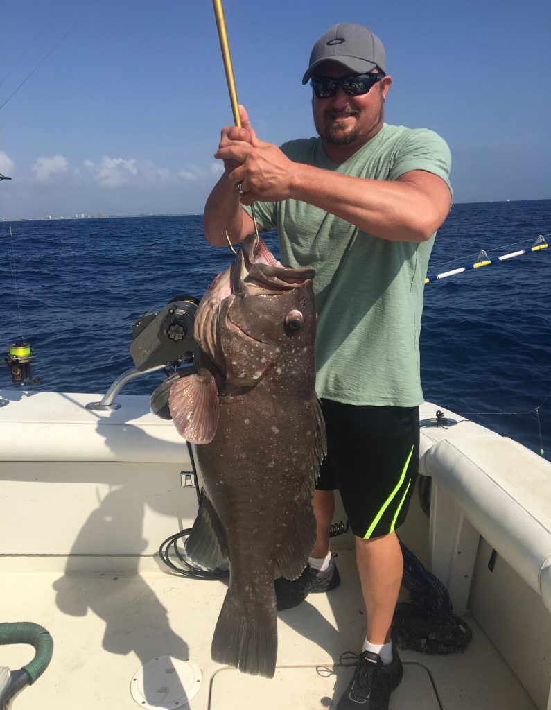 nice warsaw grouper just pulled up off the bottom