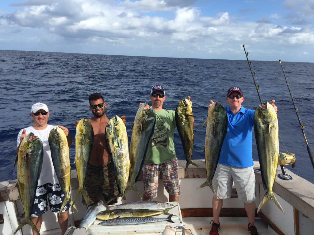 Lots of dplphin caught on our sportfishing charter