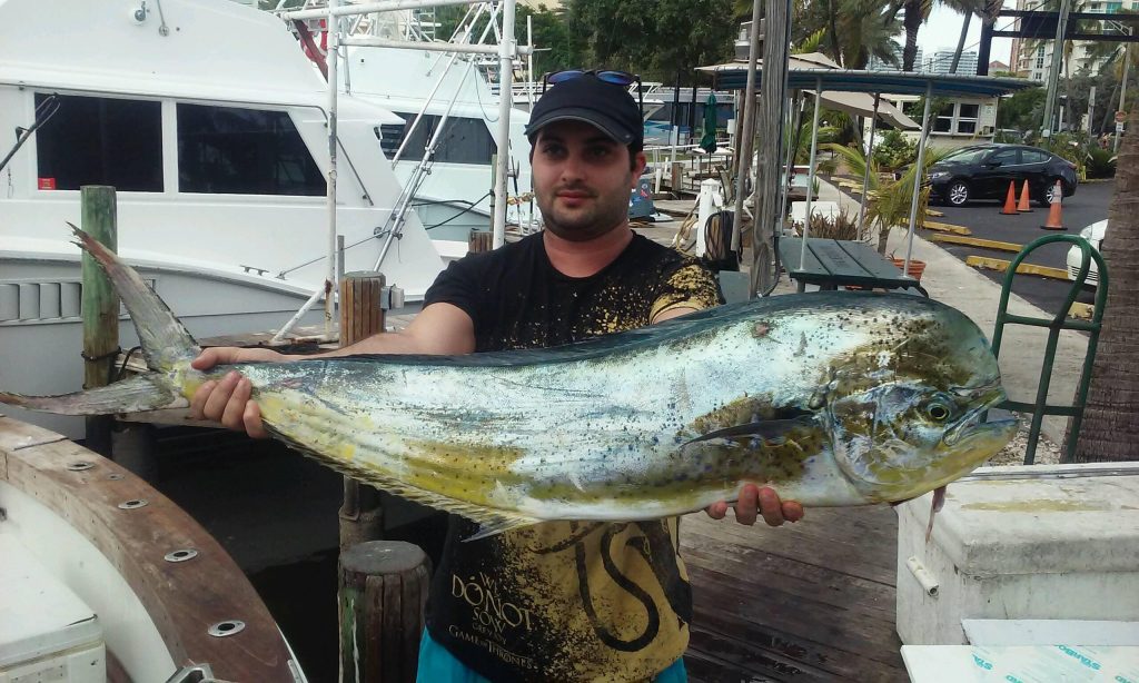 Nice mahi caught on our sportfishing charter.