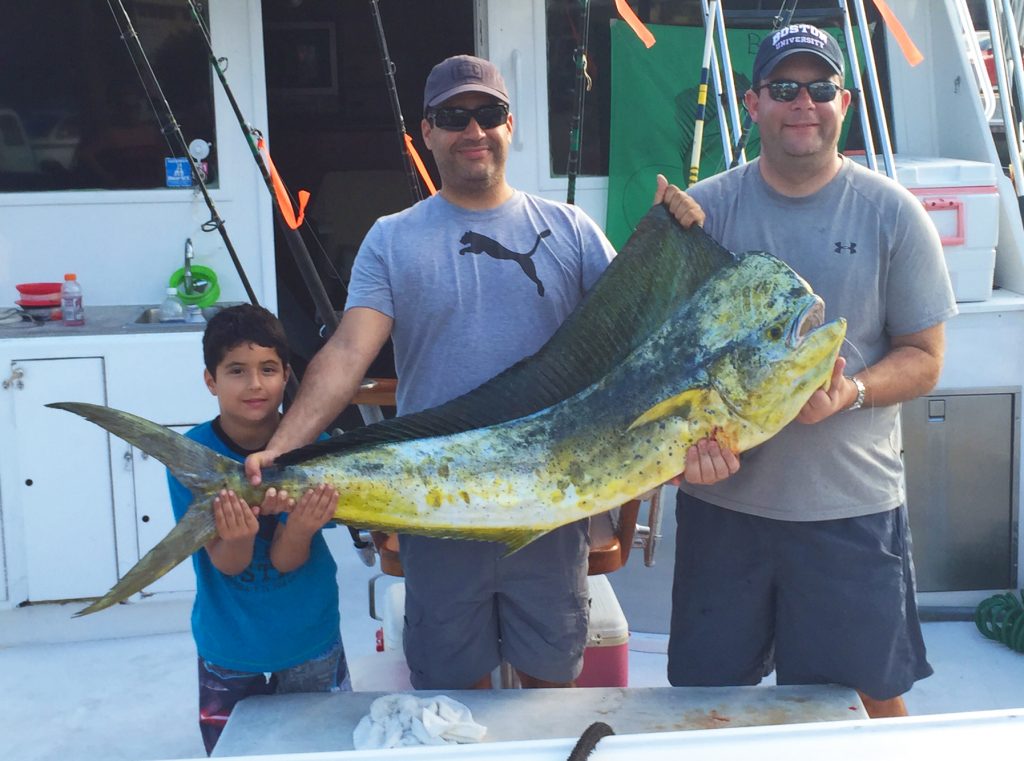 Nice big dolphin caught sportfishing in Ft Lauderdale.