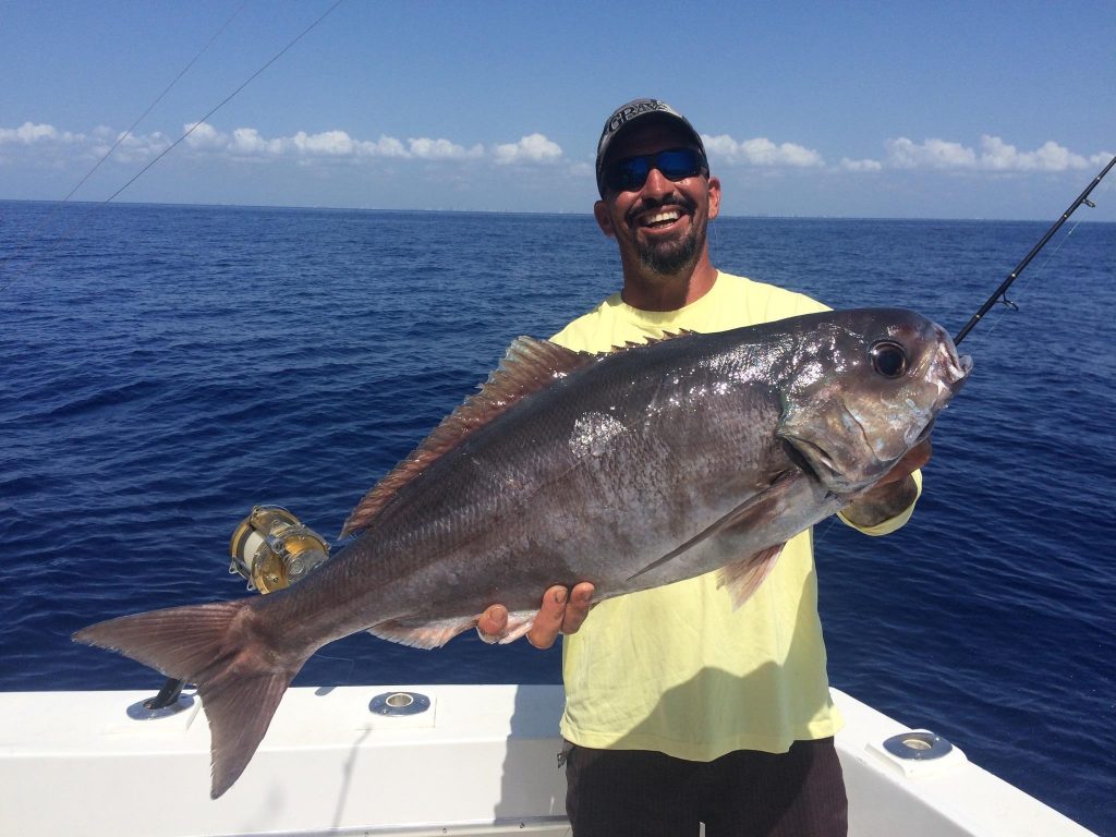 Huge barrelfish just caught from the depths.