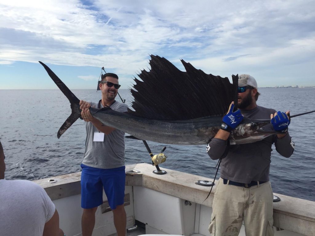 Nice sailfish just caught on a sportfishing charter.