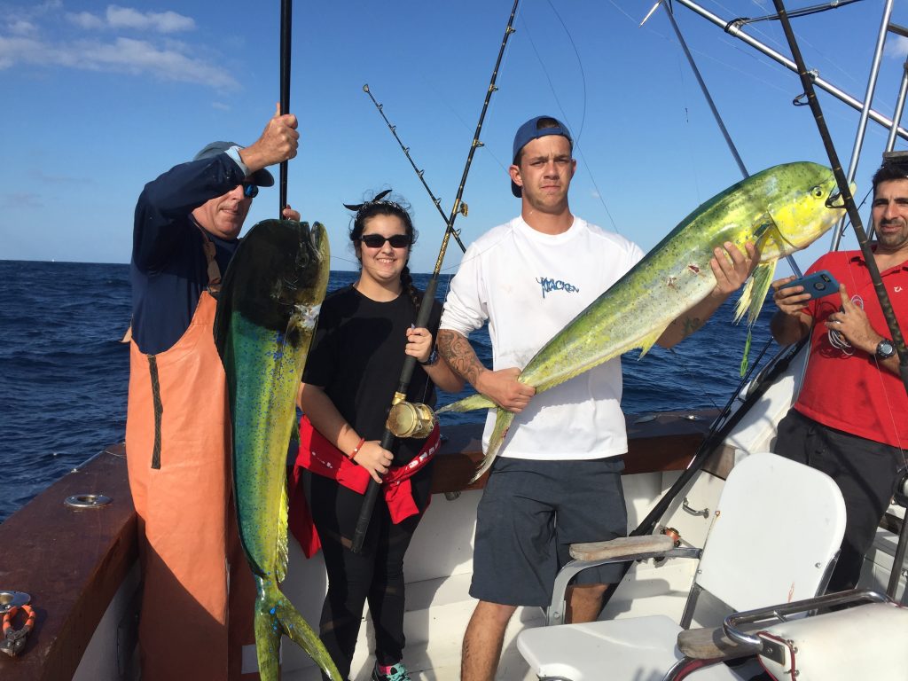 Big pair of mahi-mahi dolphin just caught on our sportfish charter.