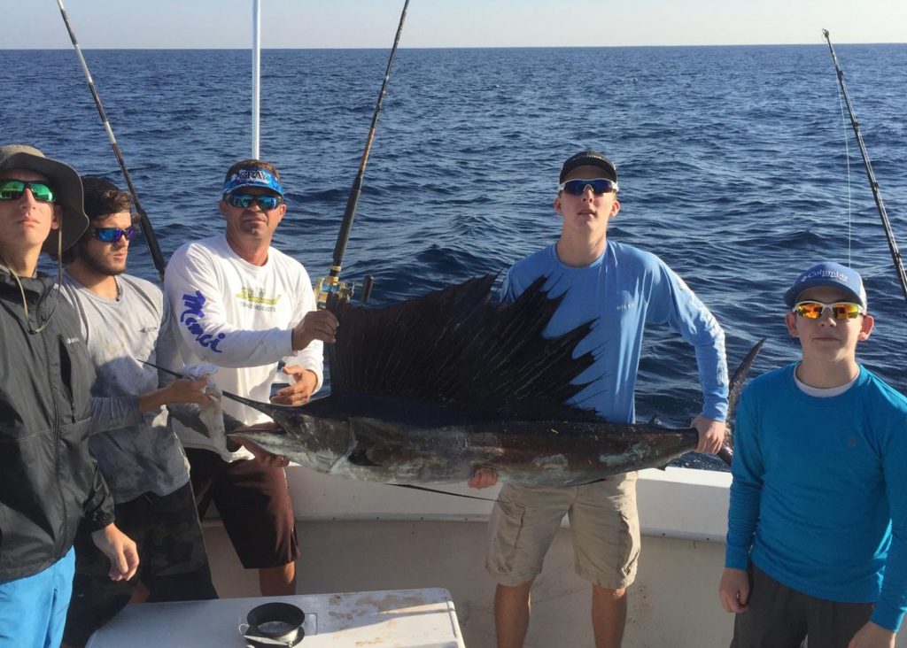 Nice sailfish just caught on a fishing charter.