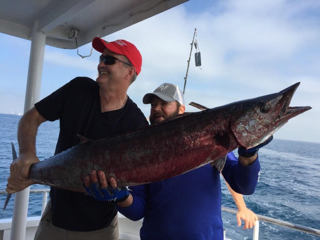 Big wahoo caught trolling the reef.