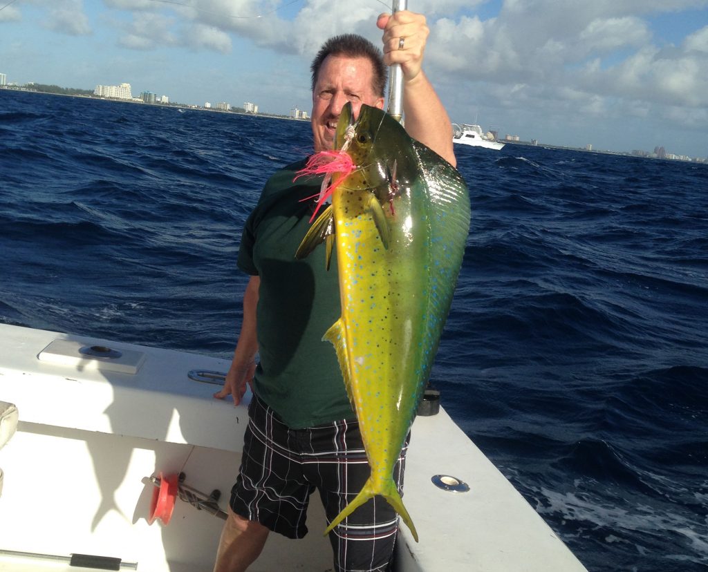 Nice dolphin just caught on the Ft Lauderdale reef.